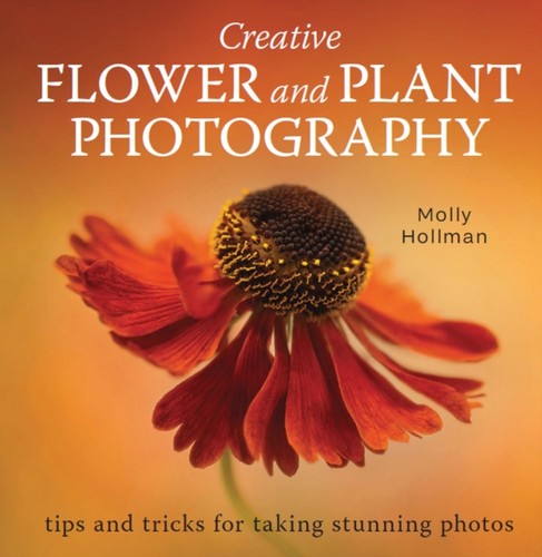 Creative flower plant - flower, &