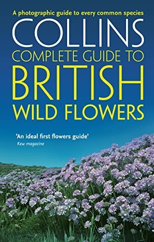 British wild flowers - flowers:, a