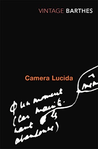 Camera lucida reflections on - camera, lucida: