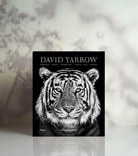 David yarrow hardcover - david,