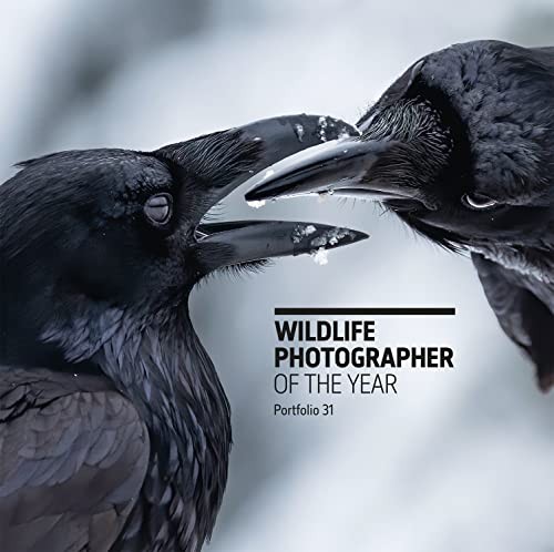Wildlife photographer the - photographer, of