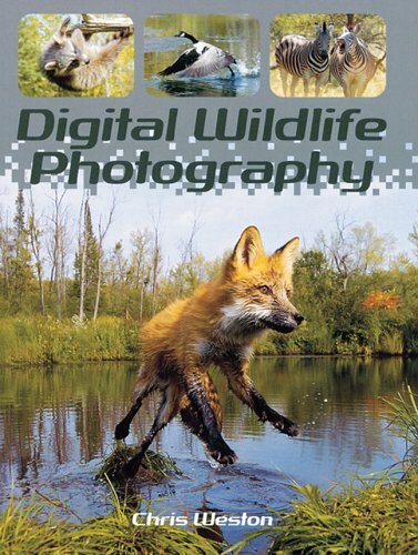 Digital wildlife - digital,