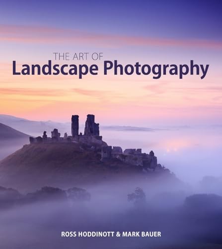 The art landscape - art, of