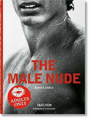 The male nude david - nude, by