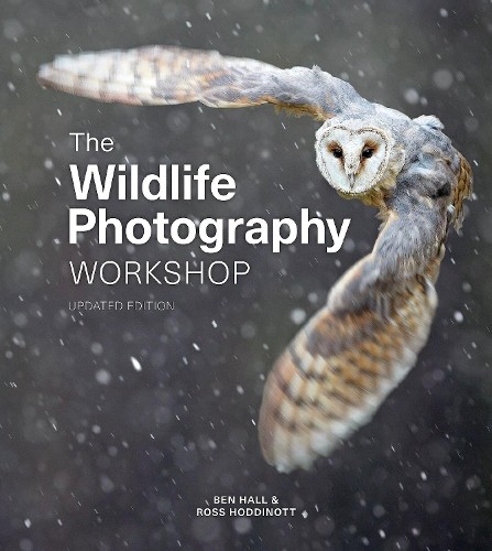 Wildlife photography workshop - wildlife,