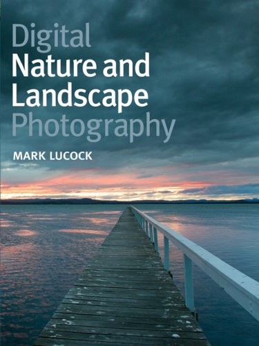 Digital nature and landscape - nature,