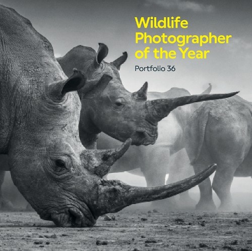 Wildlife photographer the - photographer, of